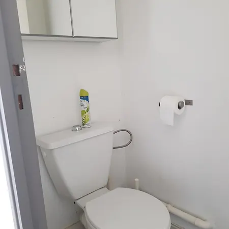 Loft Vue Fleuve Garonne Parking Gratuit Apartment