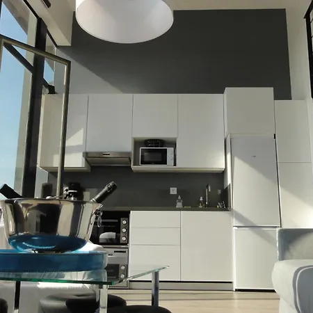 Apartment Loft Vue Fleuve Garonne Parking Gratuit Toulouse